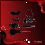 Passion Flirting BDSM KIT V2 BDSM-008